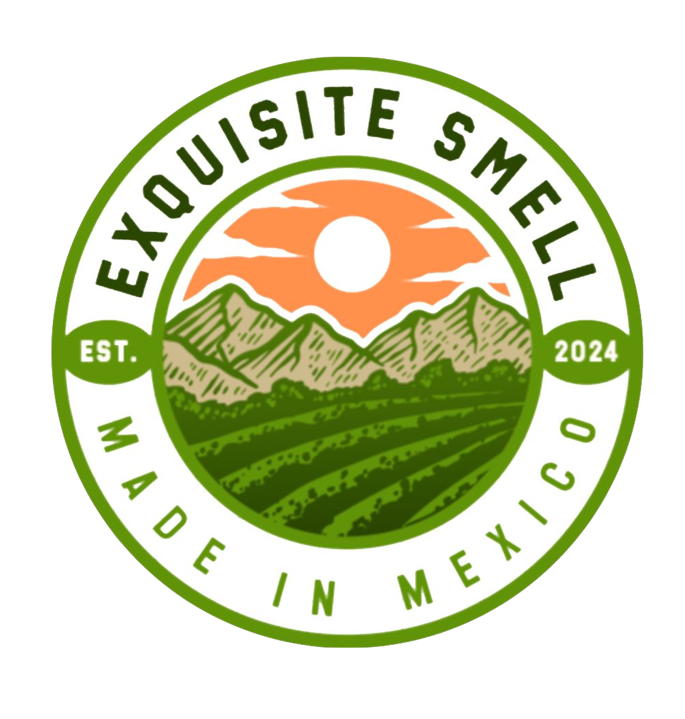 photo 2025 12 24 10 54 42